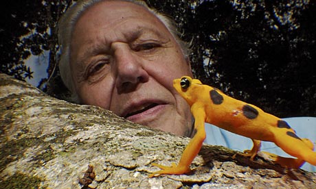 David Attenboroughs 60-year career celebrated in BBC series